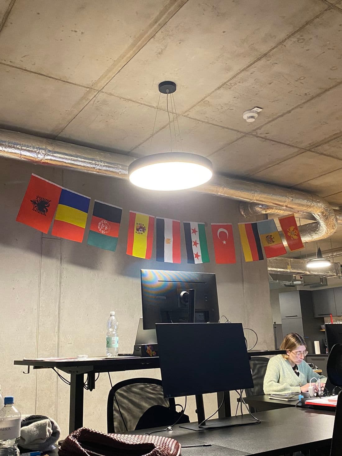Flaggen der Länder, aus denen das internationale VARM Team kommt